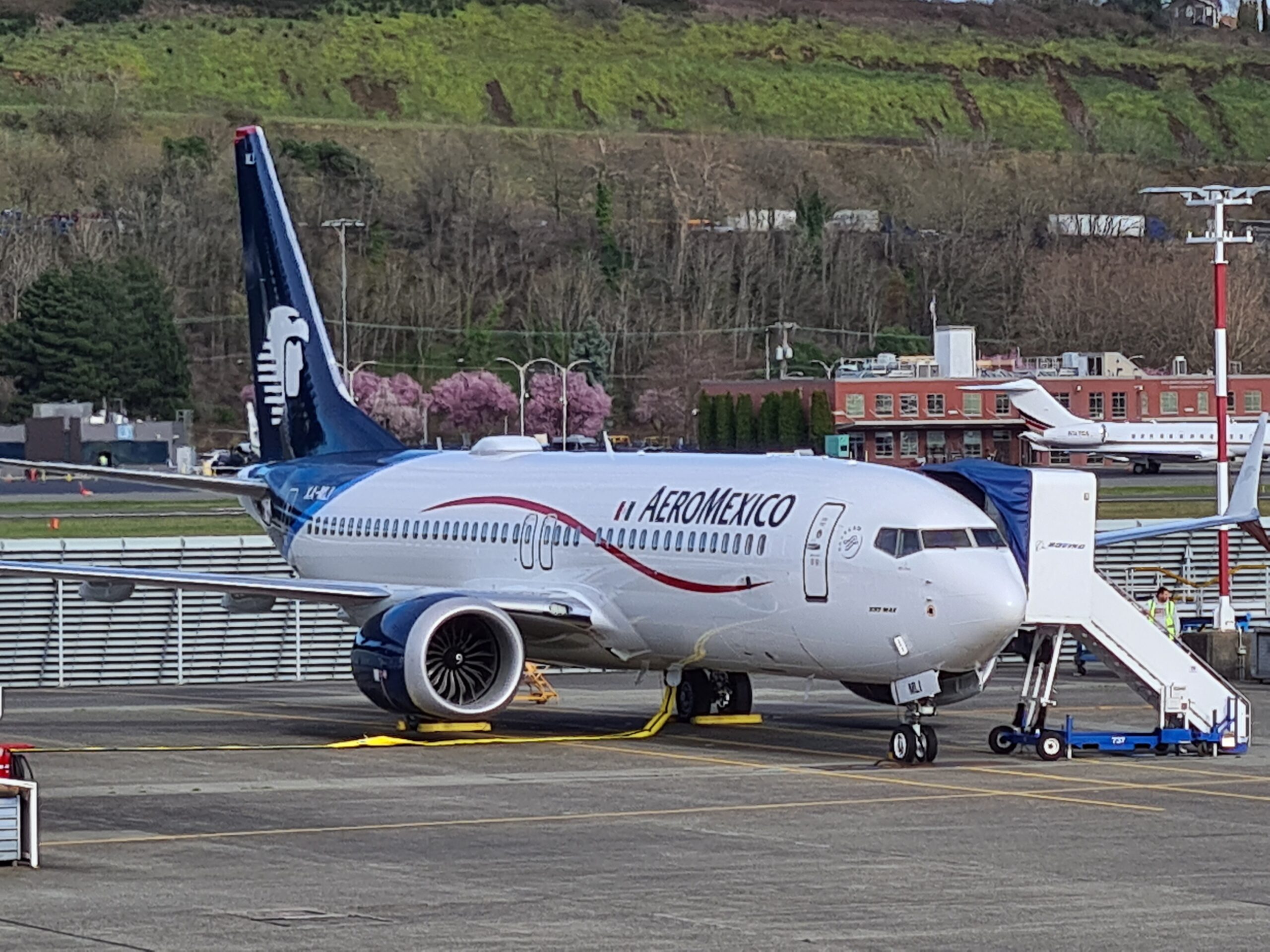 アエロメヒコ航空機イメージ